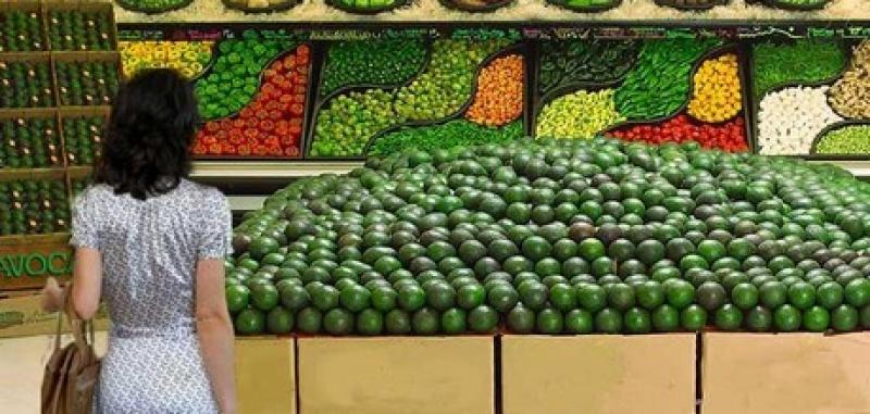 Perú podría llegar a exportar 500 millones de libras de palta al año a Estados Unidos en los próximos cinco años