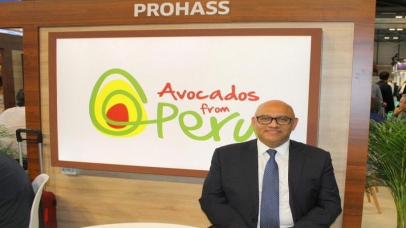 “Perú podría recuperar niveles de producción de palta en 2025”