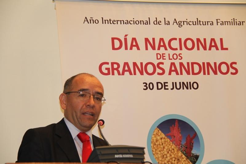 PERÚ: SE SEMBRARÍAN 72 MIL HAS DE QUINUA DURANTE PRÓXIMA CAMPAÑA 