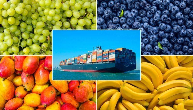 Perú se ubicó como el segundo proveedor de frutas de Estados Unidos en el 2024
