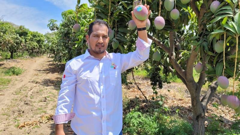 Peruvian Inka Fruit invertirá en nueva planta de producción de Casma y ampliará su cartera de productos a holantao, pitahaya y palta