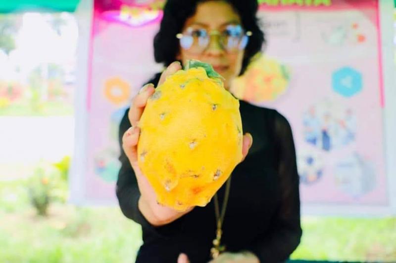 Pitahaya es un fruto cada vez más demandado en el mundo por sus beneficios para la salud, pero ¿tiene realmente futuro en el Perú?