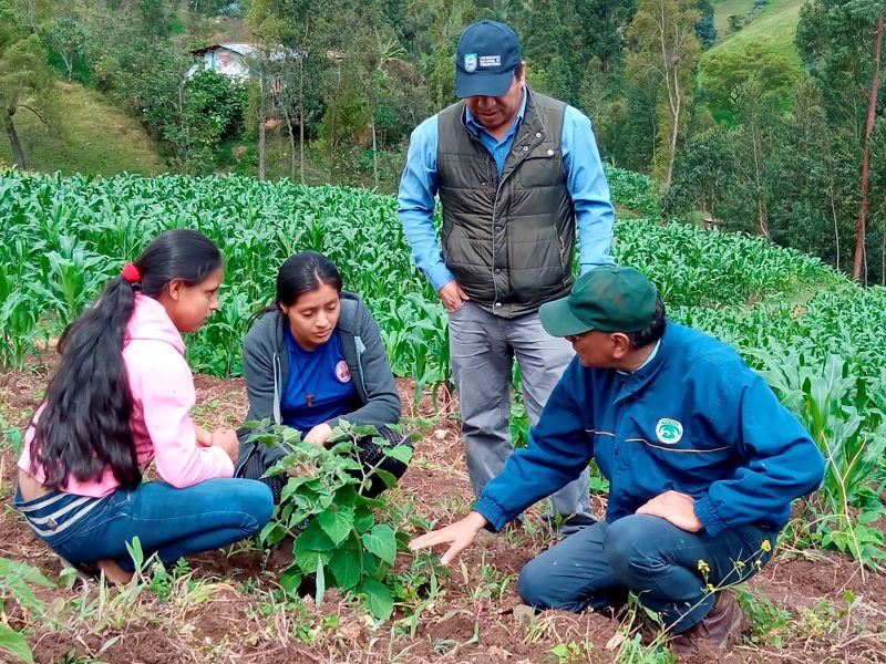 Piura: investigadores trabajan sobre nuevas propiedades de frutos nativos para promover reforestación y biocomercio