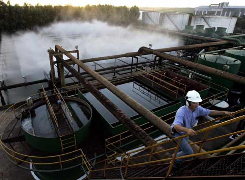 PIURA SE IMPONE COMO LA CAPITAL BIOENERGÉTICA DE LA COSTA PERUANA