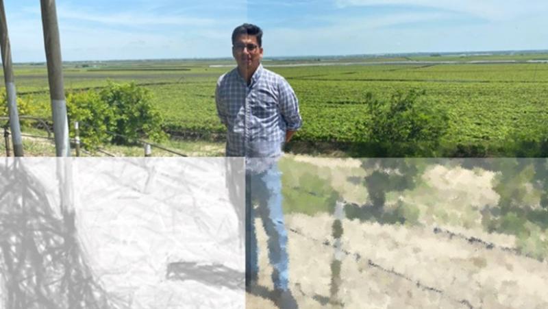 Planeamiento de Escenarios en la Agroexportación