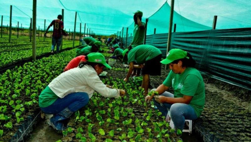 PNIA PROYECTA FINANCIAR 205 PROYECTOS DE INNOVACIÓN ESTE AÑO