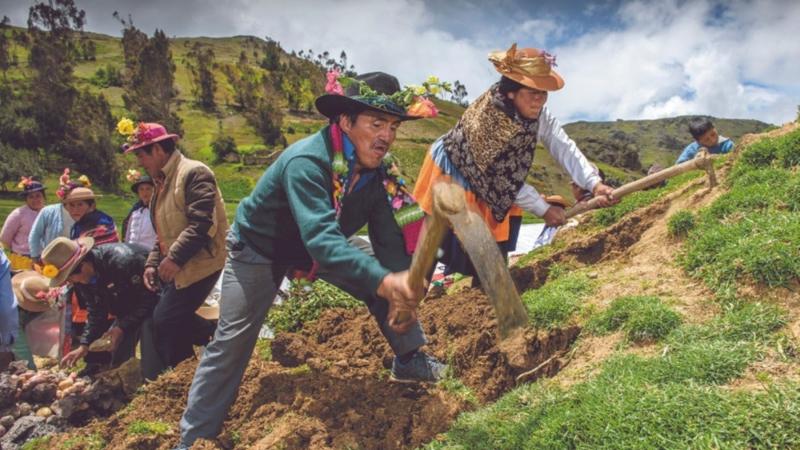 ¿Por qué es clave la agricultura familiar a la seguridad alimentaria?