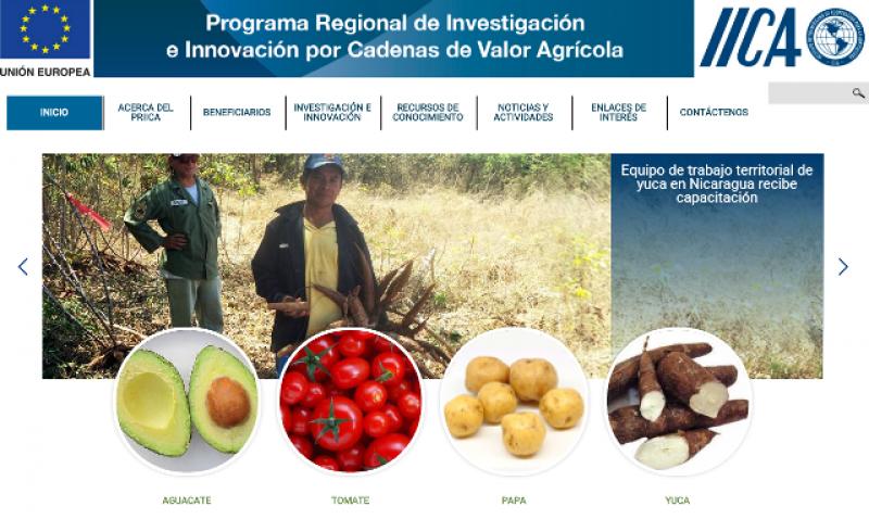 PORTAL WEB SISTEMATIZA INFORMACIÓN SOBRE CUATRO CADENAS DE VALOR AGRÍCOLA