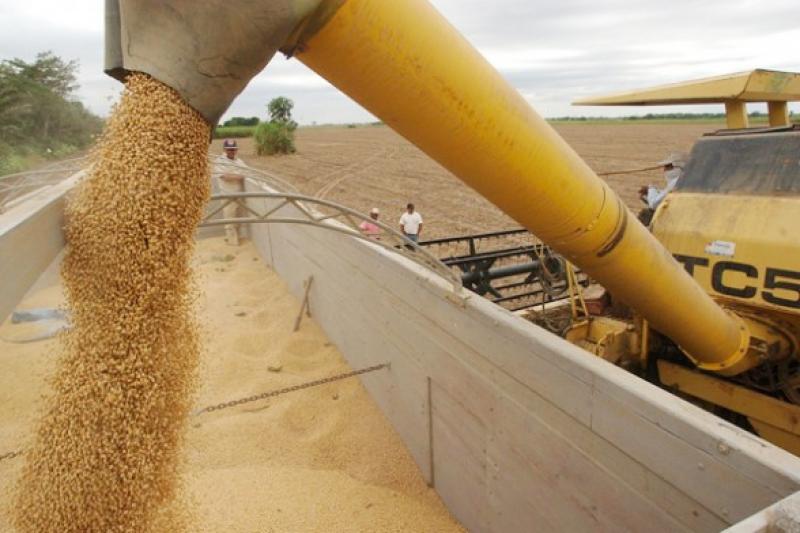 PRECIO PROMEDIO DE LA SOYA CRECIÓ 4,9%