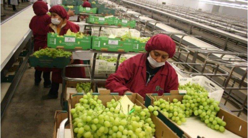 Preocupación en el agro de cara al futuro