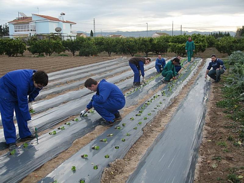 PRESENTAN RESULTADOS SOBRE SERVICIOS DE EXTENSIÓN Y TRANSFERENCIA DE TECNOLOGÍA AGRARIA
