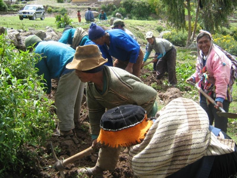 PRODUCCIÓN AGROPECUARIA AUMENTÓ 2,71%