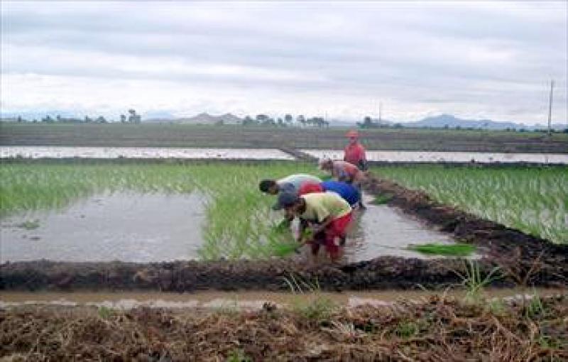 PRODUCCIÓN AGROPECUARIA AUMENTÓ 8,13% EN JULIO 