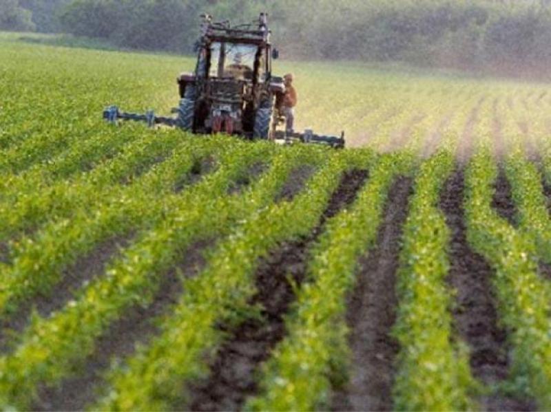 PRODUCCIÓN AGROPECUARIA CRECIÓ 2,09% EN OCTUBRE Y 3,78% EN 2011