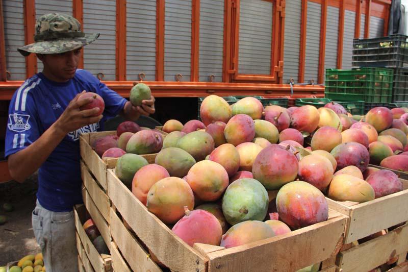 PRODUCCIÓN AGROPECUARIA CRECIÓ 2.20% EL 2013