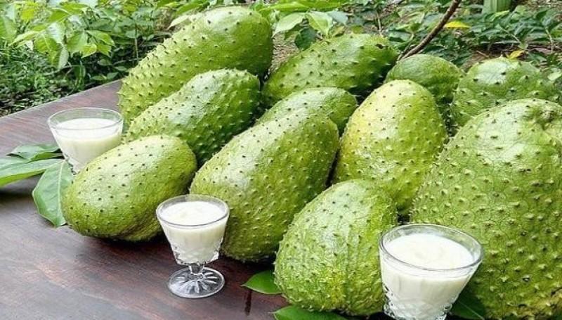 Producción de guanábana en Perú alcanzó las 16.383 toneladas en 2024