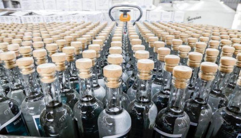 Producción de pisco por parte de Perú alcanzó los 8 millones de litros en 2024