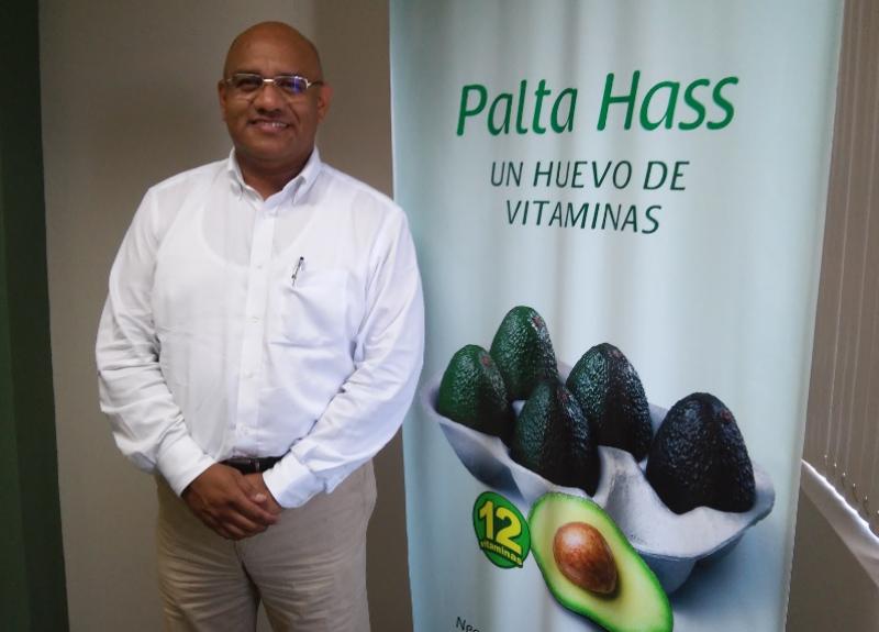 PRODUCCIÓN NACIONAL DE PALTA HASS SE DUPLICARÍA EN CUATRO AÑOS