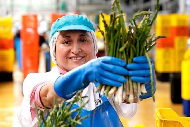 Produce: 1.353.719 mypes son lideradas por mujeres en Perú