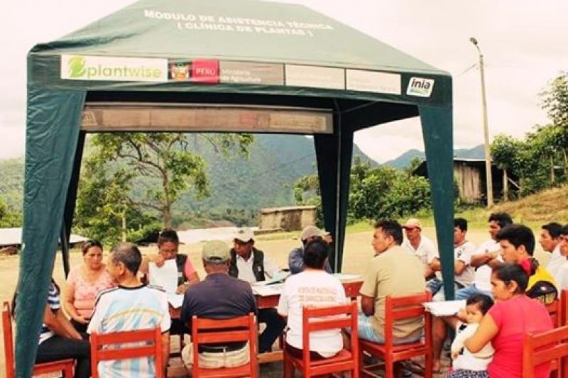 PRODUCTORES AGRARIOS DE SAN MARTÍN SON CAPACITADOS EN MANEJO DE CULTIVOS