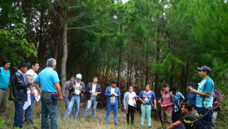 Productores de café y cacao se capacitan en  recuperación de suelos degradados