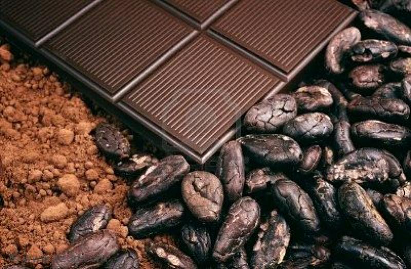 PRODUCTORES DE CHOCOLATE GENERARON NEGOCIOS POR MÁS DE US$ 9 MILLONES EN FRANCIA