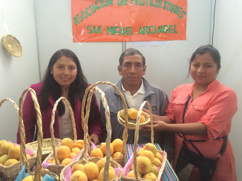 PRODUCTORES DE DURAZNO DE OYÓN ESPERAN VOLVER A EXPORTAR A ECUADOR CON CERTIFICACIONES