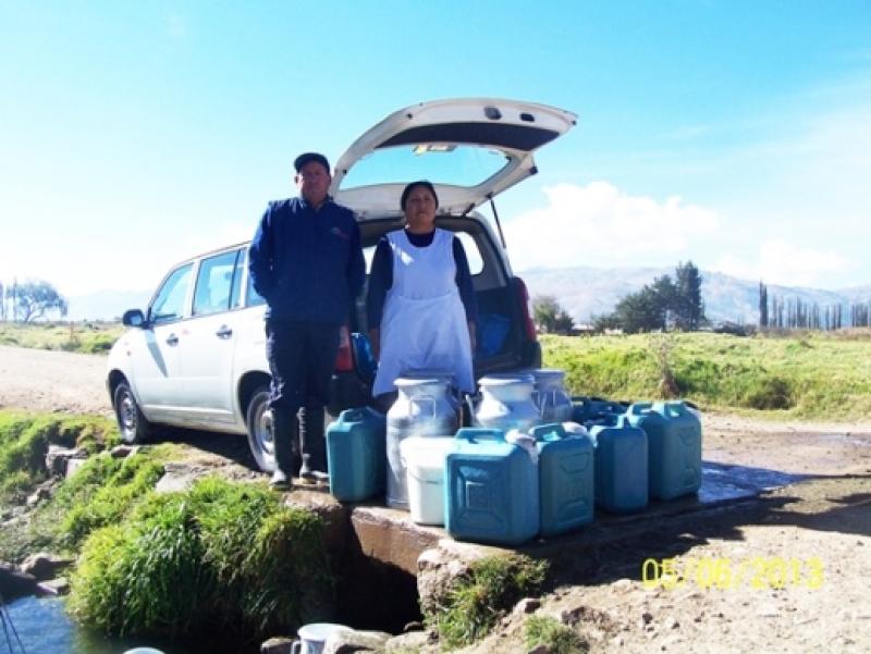 PRODUCTORES DE LECHE DE CUSCO INCREMENTAN SU  PRODUCCIÓN EN 20%