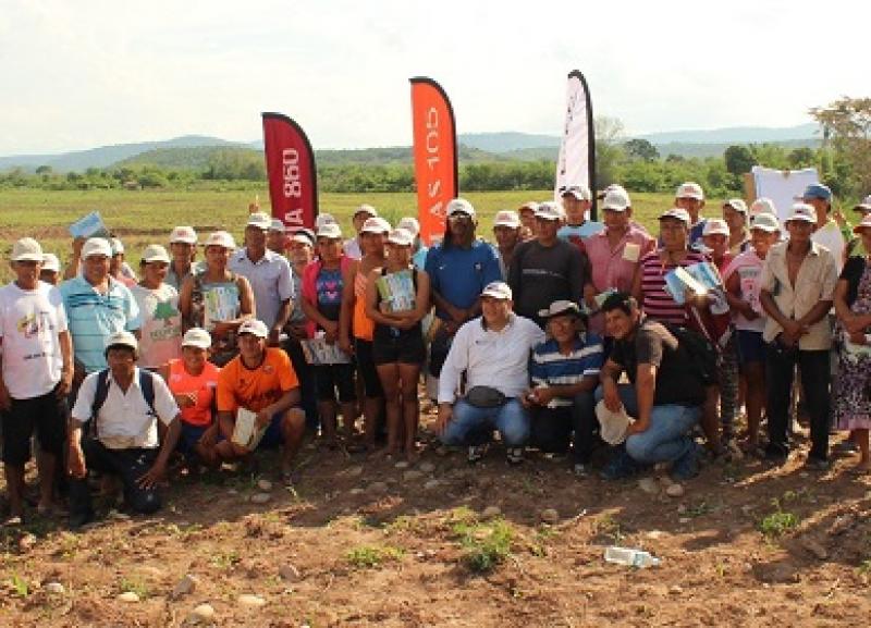 Productores se capacitan en manejo tecnológico del maíz amarillo duro