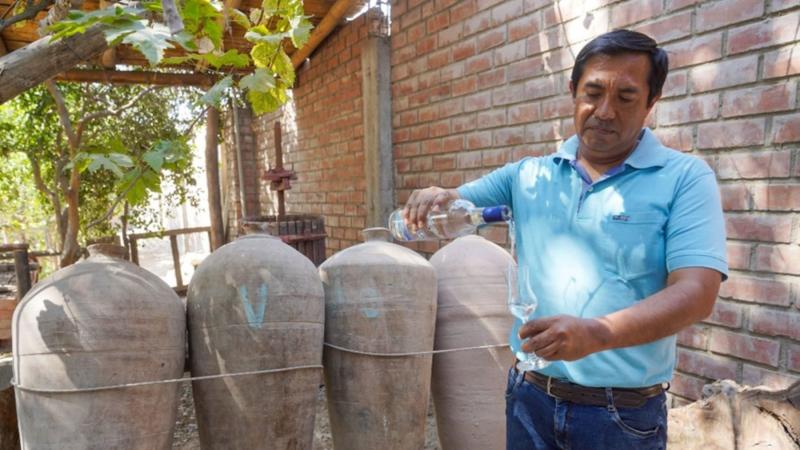 Productores vitivinícolas de Ica solicitan que producción artesanal del pisco se declare Patrimonio Cultural de la Nación