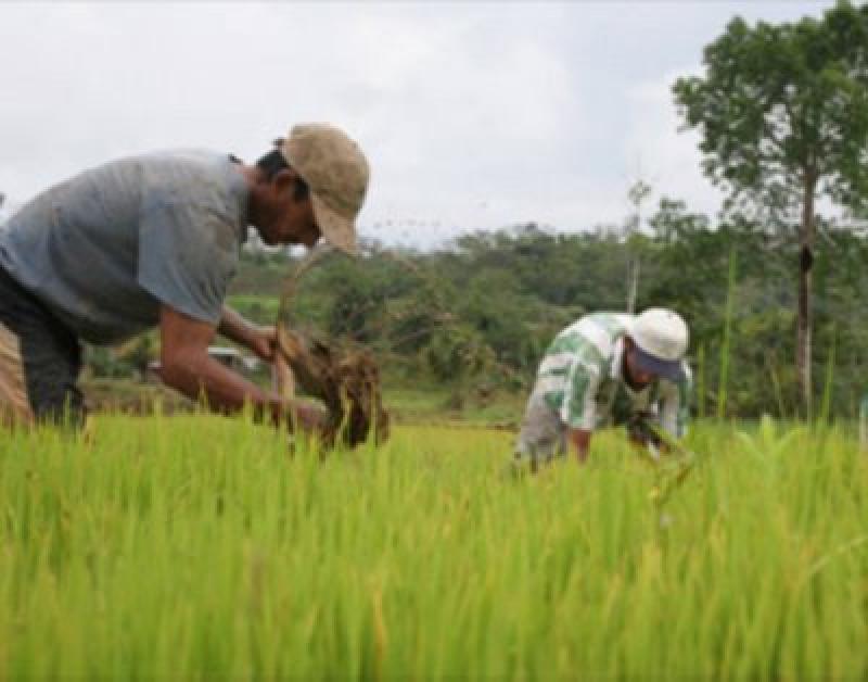 PRODUCTOS AGROPECUARIOS LIDERAN EXPORTACIONES EN LAMBAYEQUE