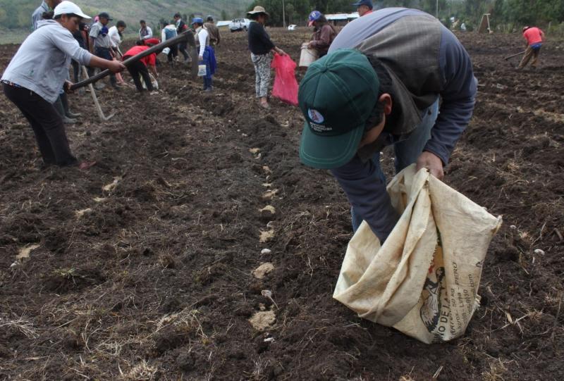 Proyecto de nueva Ley de Cooperativas irá al Congreso en primera legislatura 2019