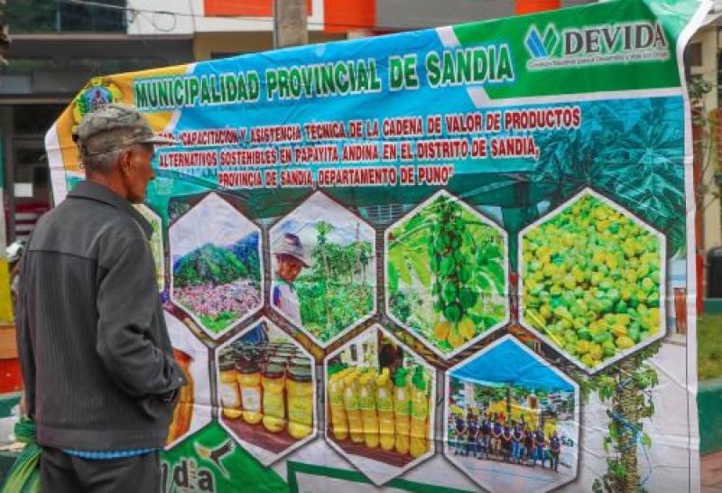 Puno apuesta por la papaya orgánica