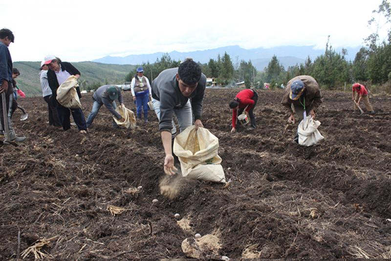 Puno: personal de Agro Rural es capacitado para vender guano de las islas a precios bajos a pequeños agricultores