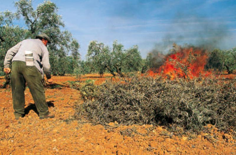 Quema de rastrojos y residuos es un error de los agricultores