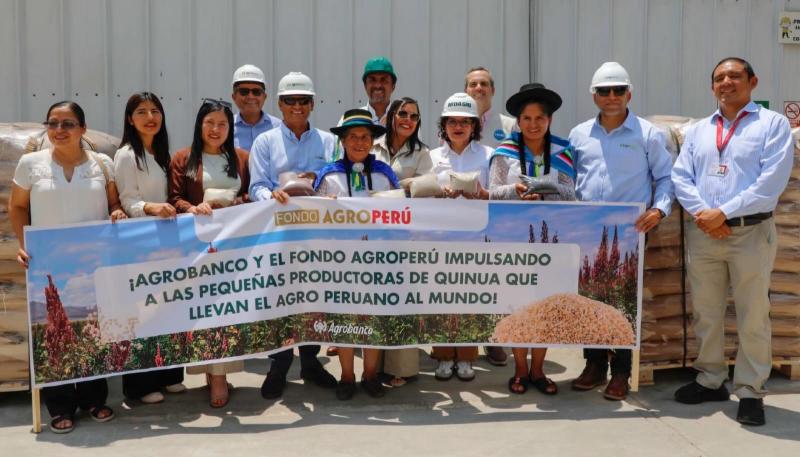 Quinua de Apurímac llega a Holanda