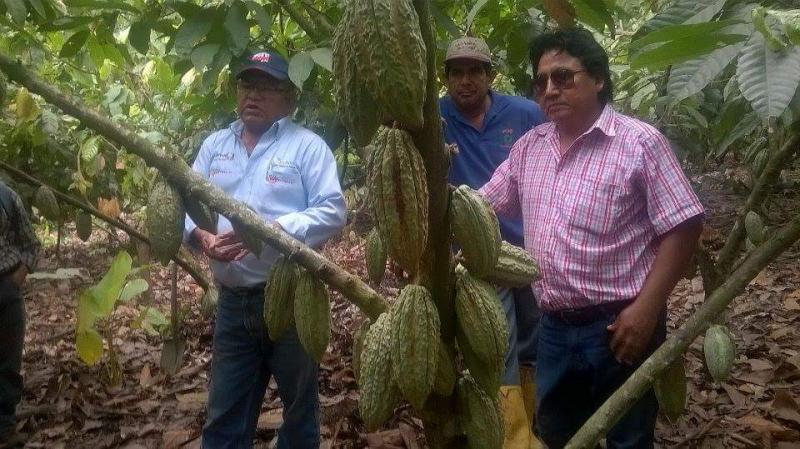 “Reconversión  productiva  sí, pero  con una visión  empresarial”