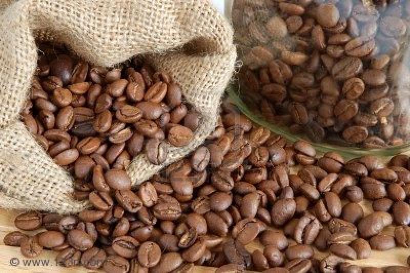 RÉCORD: PROYECTAN EXPORTAR US$ 750 MILLONES DE CAFÉ