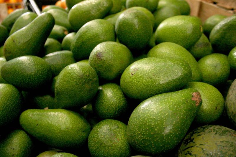 Rendimiento de palta en Arequipa es tres veces superior al de Moquegua