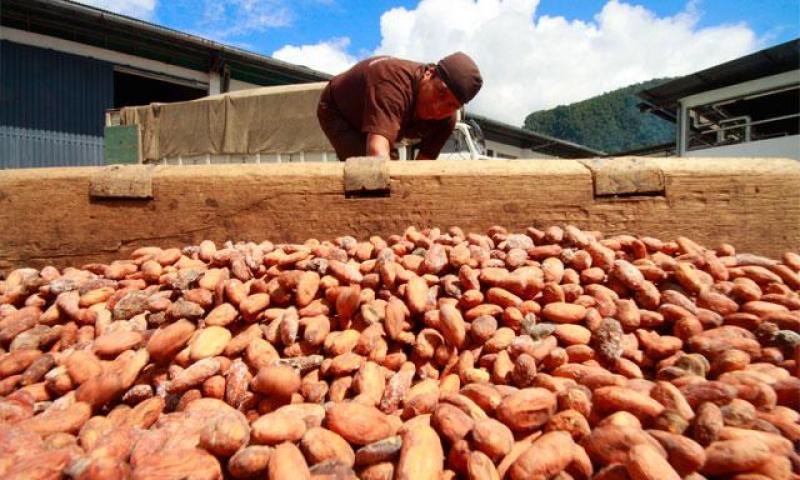 RUEDA DE NEGOCIOS DEL VI SALÓN DE CACAO Y CHOCOLATE GENERÓ US$ 18 MILLONES