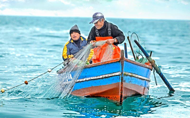 Sanipes destaca labor de miles de pescadores artesanales del país