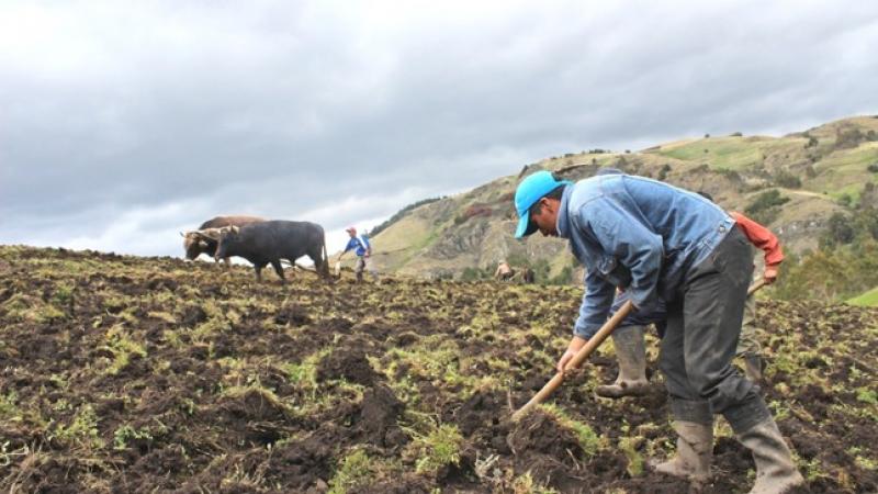 Se amplía atención en 364 lugares para entrega de subvención a 300 mil agricultores