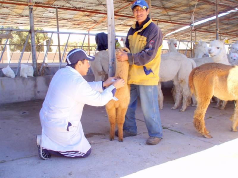 SE CIERRA INCAGRO POR FALTA DE PRESUPUESTO