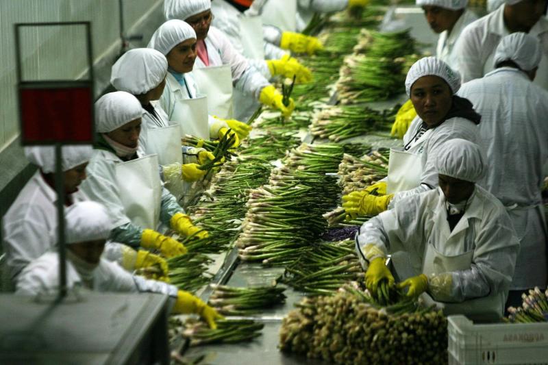 Sector agroindustria generó más de 58.200 empleos formales en 2018