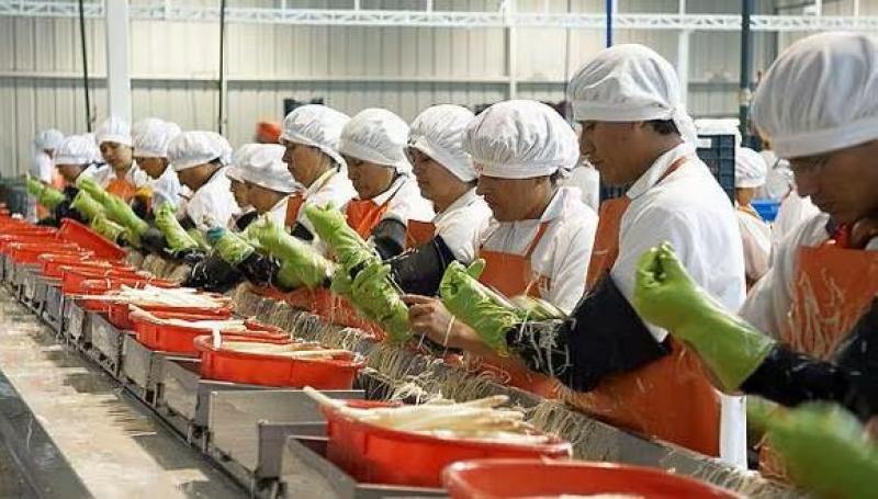 Sector agroindustrial, principal generador de mano de obra asociada a las exportaciones, registró 1.710.472 empleos en 2023