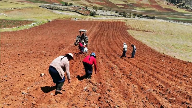 Sector agropecuario crecería +3.5% al cierre del 2024