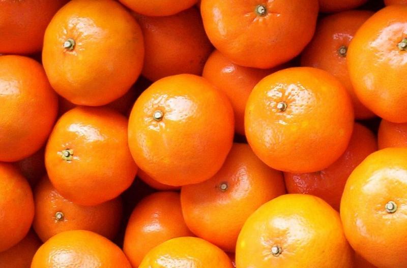 Seis productos agrarios peruanos han logrado su ingreso a nuevos mercados este año
