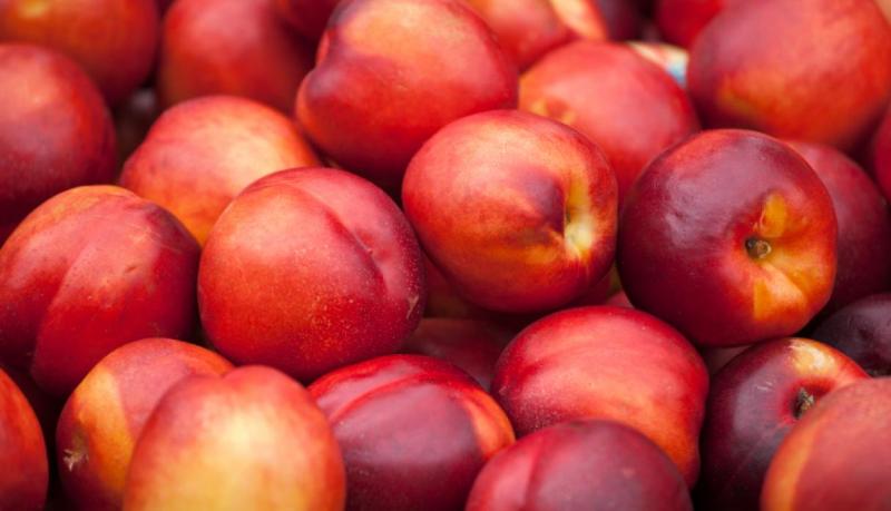 Senasa aclara que en Perú no hay importaciones de frutos chilenos comprometidos en posible contaminación con listeria