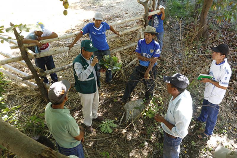 Senasa extiende la sanidad agraria a zonas poco accesibles