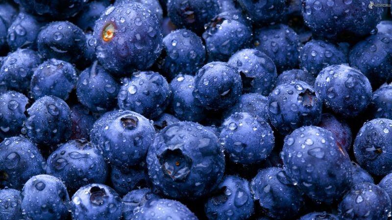 "Si hacemos todo bien, la producción mundial de arándanos podría alcanzar los 2.4 millones de toneladas en 2030"